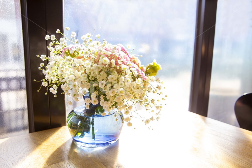 플라워,꽃,꽃배경,flower,화병,꽃병,생화,꽃꽂이,플라워아트,꽃,flower,실내용화초,화분,화초,house plant