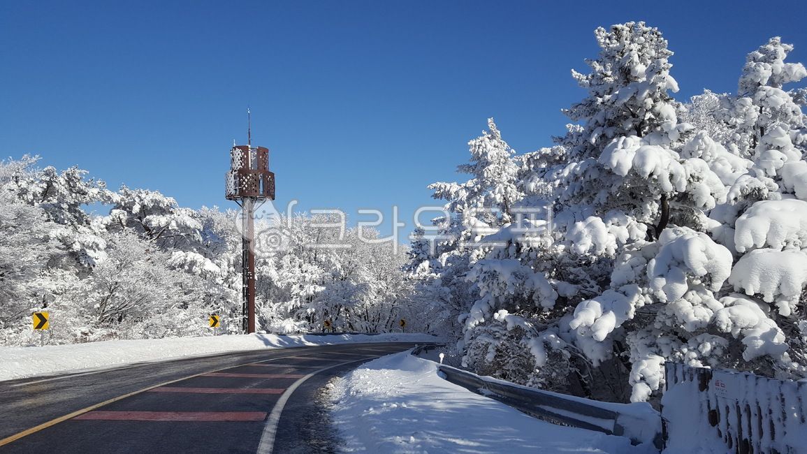 눈,한라산길,snow,겨울산,겨울도로