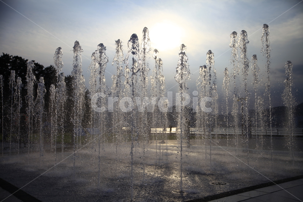 분수,물줄기,자연,분수대,순간,여름,계절,summer,season,자연,풍경,nature,landscape,water,물,fountain