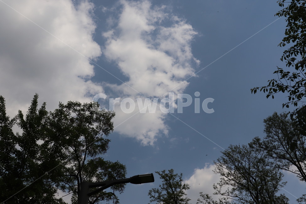 하늘,sky,구름,cloud,blue,공원,맑은,park