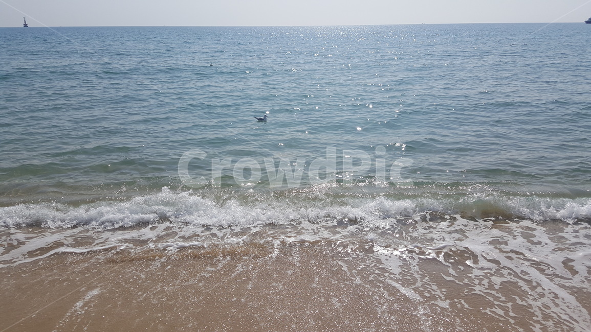 beach,해변,바다,모래밭,파도,sea,wave,sand