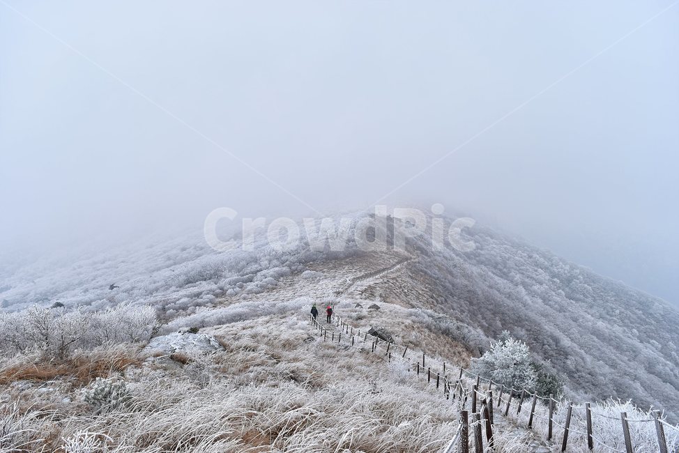 소백산,눈꽃풍경,상고대,겨울풍경,국립공원,겨울동화,힐링,감성,아름다움,뷰티풀,설국,눈풍경,100대명산,겨울명산,설경,서리꽃,snow,landscape,눈,화이트,자연,신비로운,경이로운,천상,비경,치유,산,명산,자연풍경,늦가을,겨울,계절,winter,season,자연,풍경,nature,landscape,한국자연풍경,한국자연경관,korea nature landscape,outdoors,옥외