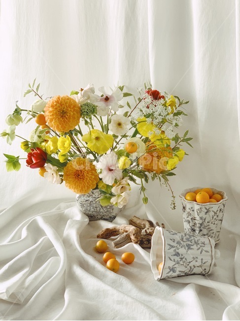 꽃,동양미,다알리아,꽃꽂이,힐링,실내용화초,화분,화초,house plant