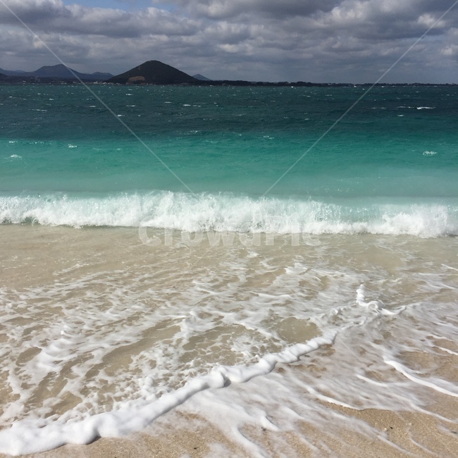 제주도,바다,초록바다,해변,파도