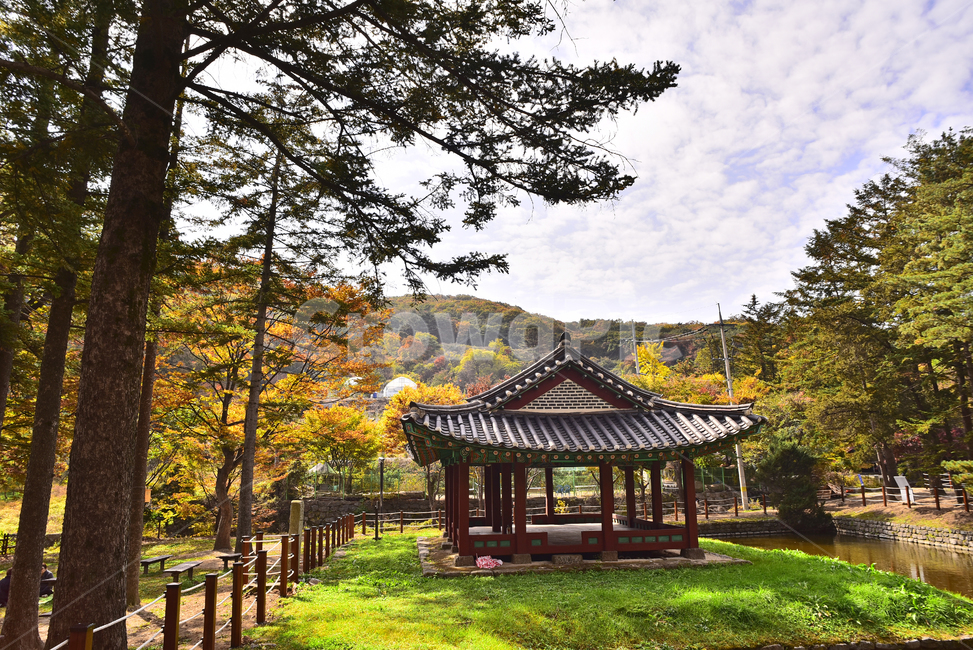 남한산성,가을,지수당,건물,건축물,한국전통,기와집,소나무,잣나무,ㅊ,침엽수,잔디밭,가을배경,가을풍경,계절,시즌,fall,autumn,background,unesco,유네스코,세계문화유산,고건축,역사,히스토리,배경,바탕,백그라운드,야외,옥외,아웃도어,outdoor,한국자연경관,가을,계절,fall,autumn,season,한국전통,한국문화,korean traditional,korean culture,건축물,건물외관,exterior,building,structure,architecture,construction