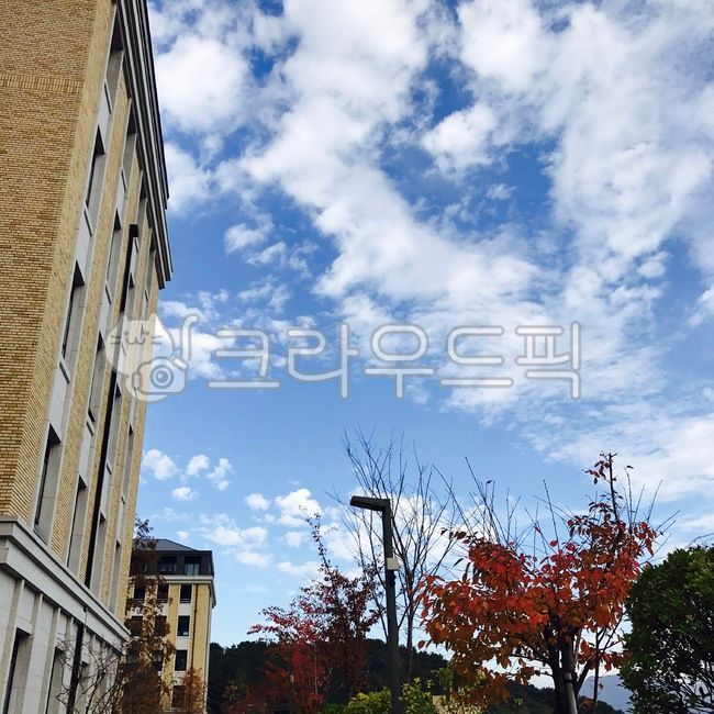 하늘,건물,학교,대학교,단풍,풍경,배경화면,감성사진