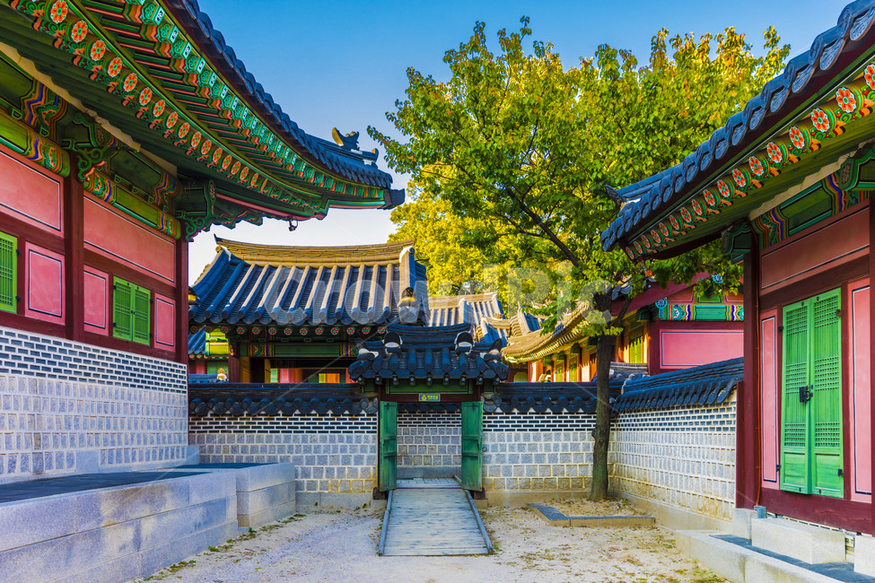 roof,Cultural Heritage,eaves,Changdeokgung Palace,tile,tile fence,old palace,traditional house