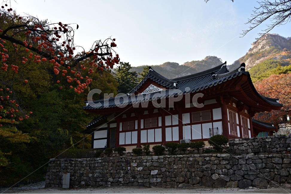 내소사,전통사찰,부안내소사,능가산내소사,변산내소사,한국전통,한국문화,korean traditional,korean culture,건축물,건물외관,exterior,building,structure,architecture,construction