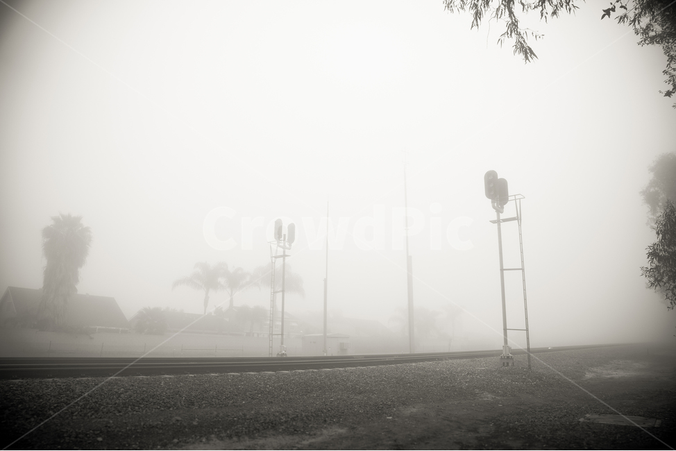 미국,켈리포니아,얼바인,안개,기찻길,자연,풍경,nature,landscape,흑백,모노톤,monochrome,black and white,weather,날씨