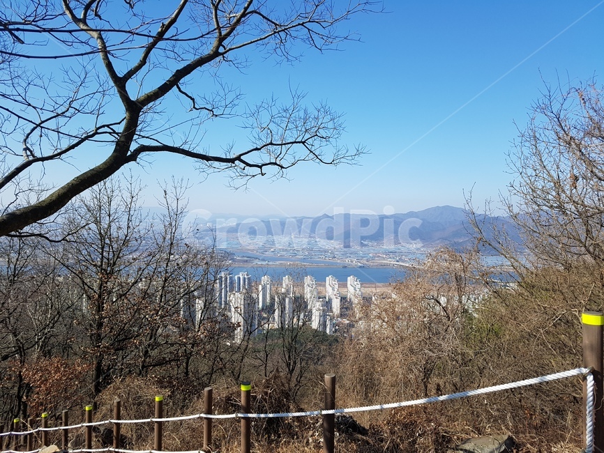 산,자연,풍경,지평선,nature,outdoors,city,busan,korea,등산로,아파트,apartment,river,tree,나무,금정산,상계봉
