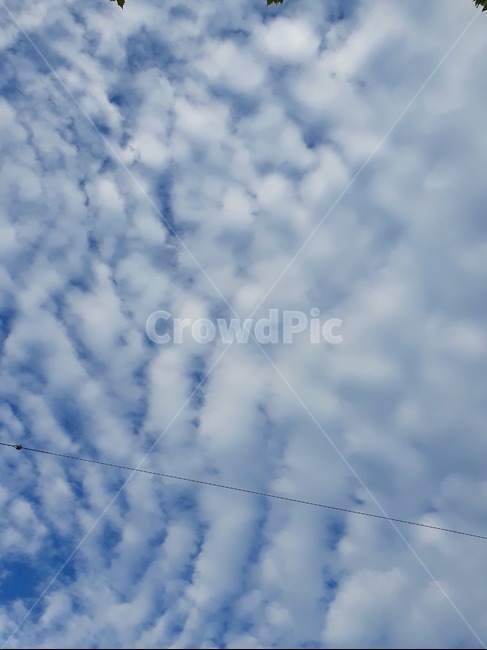 하늘,구름,자연,맑음,cloud