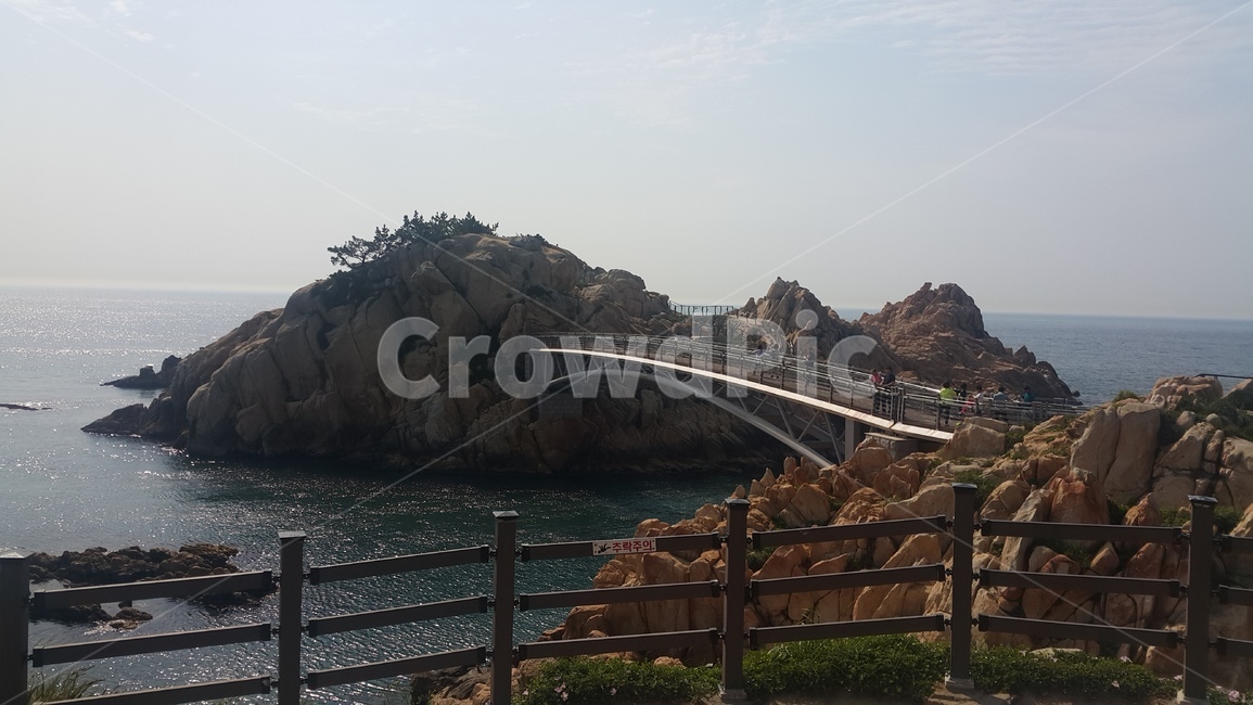 대왕암공원,배경,풍경,바다,대왕암
