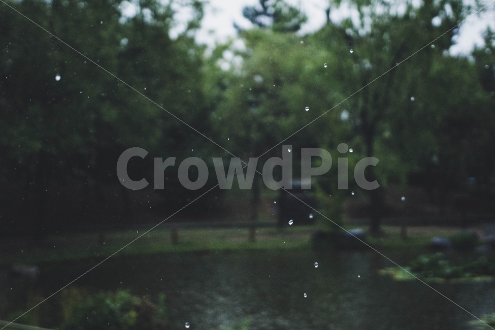 자연,nature,비,rain,빗방울,감성,아련,풍경,landscape,감성,sensible,feeling,비,비오는날,rain,rainy