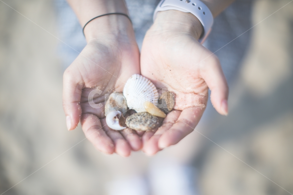 조개,고동,손,주다,바다,해변,백사장,여자,사람,clam,hands,give,sea,beach,girl,human,해변,바다,beach,sea,사람,인물,인간,human,person,신체일부,몸,body,감성,sensible,feeling