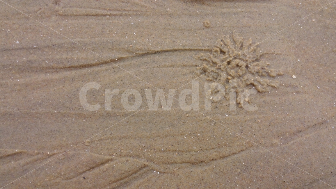 바다,모래,흔적,여행,자국,해변,바다,beach,sea