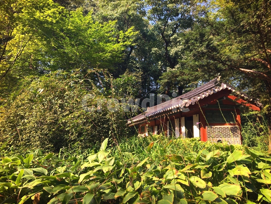 한옥,전통,한국,집,전통가옥,빛,창,나무,담벼락,돌담,그늘,여유,한국의집,문화재,코리아,korea,seoul,민속,문화,tradition,동양,한지,목조,목재,그림자,담장,산,자연,풀,처마,기와,전통문화,건축,풍경,보존,고건축,배경,한국전통,한국문화,korean traditional,korean culture,건축물,건물외관,exterior,building,structure,architecture,construction
