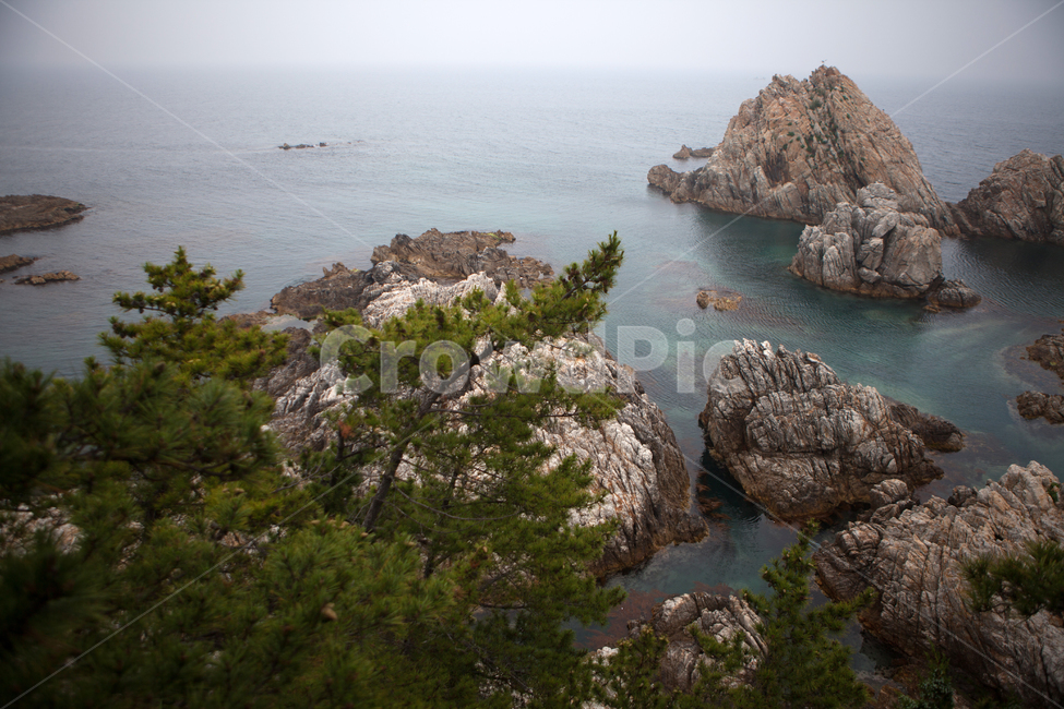 wave,nature,자연,outdoors,water,해안선,shoreline,ocean,sea,바다,암초,동해,삼척,장호항,바위,돌,rock,자연,풍경,nature,landscape