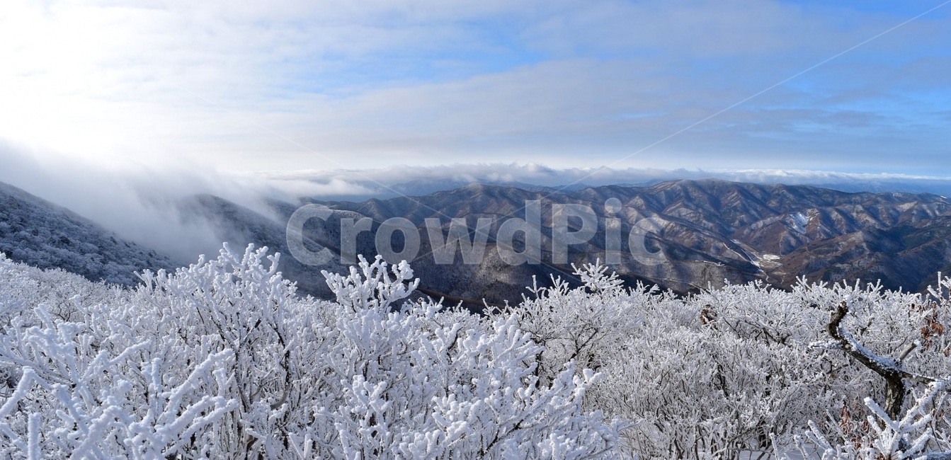 태백산,설경,상고대,눈꽃,풍경,겨울,겨울왕국,서리꽃,눈천제단,산철쭉,자연,스포츠,등산,산행,nature,snow,설국,겨울풍경,느낌,아름다운,신비로운,경이로운,다큐,필,디자인,힐링,명산,국립공원,순백,landscape,winter,season,천제단,운해,영산,파노라마,겨울,계절,winter,season,자연,풍경,nature,landscape,한국자연풍경,한국자연경관,korea nature landscape,outdoors,옥외,ice,얼음