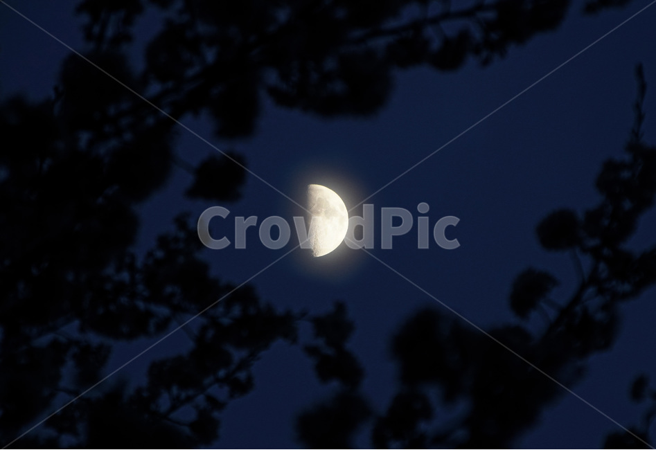 달,밤,하늘,반달,야간,야경,밤,풍경,nightscape,night,landscape,nature,자연,outdoors,옥외,universe,우주,astronomy,천문학,outer space,대기권 밖,moon