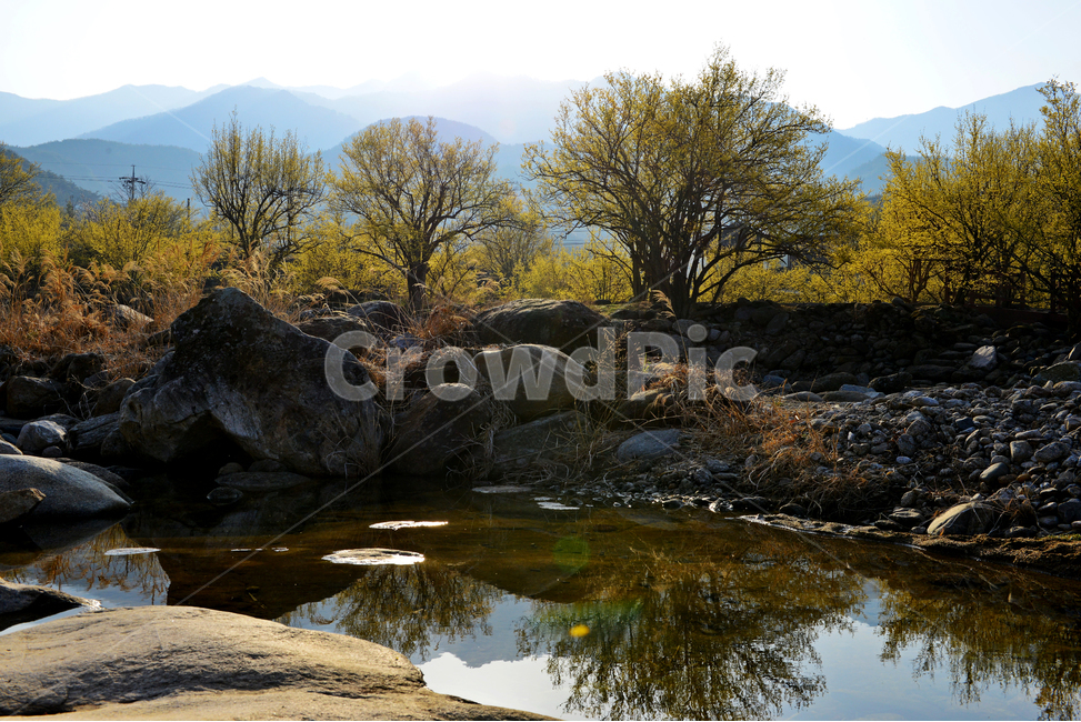 전남,구례,산동,산수유마을,산동산수유마을,산수유,산수유꽃,반영,mountainrange,산맥,mountain,산,nature,자연,water,물,outdoors,옥외,자연,풍경,nature,landscape