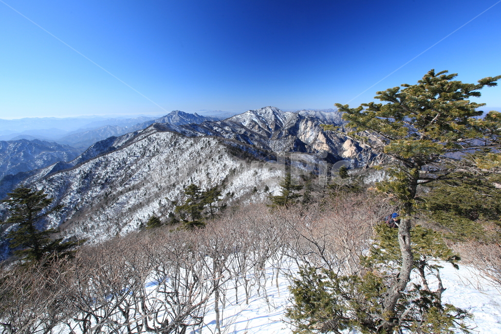 설악산,겨울산행,파란하늘,대청봉,능선,겨울나무,설원,등산,겨울,계절,winter,season,자연,풍경,nature,landscape,plant,식물,tree,나무,fir,전나무,outdoors,옥외,mountain,산,mountain range,산맥
