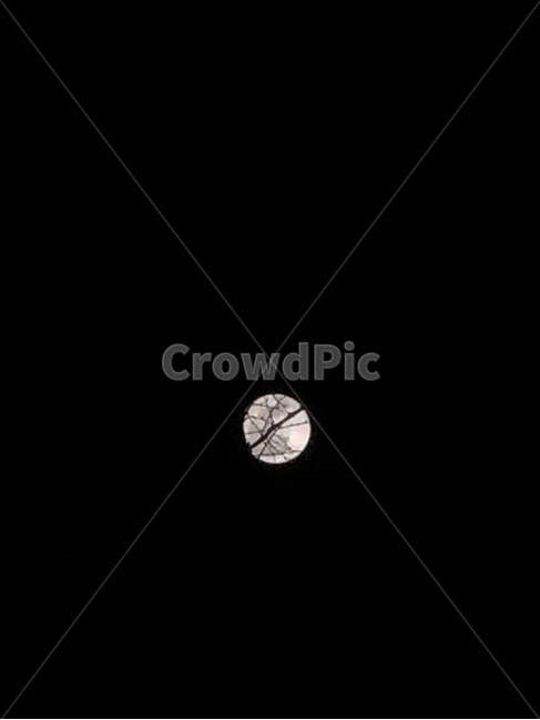 moon,밤,달,나뭇가지,night,자연,풍경,nature,landscape,outdoors,옥외