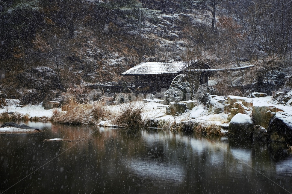 겨울,눈,물레방아,너와집,자연,계절,winter,감성,기분,feeling,watermill,snow,지붕,숲,나무,갈대,홍제천,겨울,계절,winter,season,자연,풍경,nature,landscape,한국자연풍경,한국자연경관,korea nature landscape,시골,마을,country,rural,town,outdoors,옥외,water,물,ice,빙