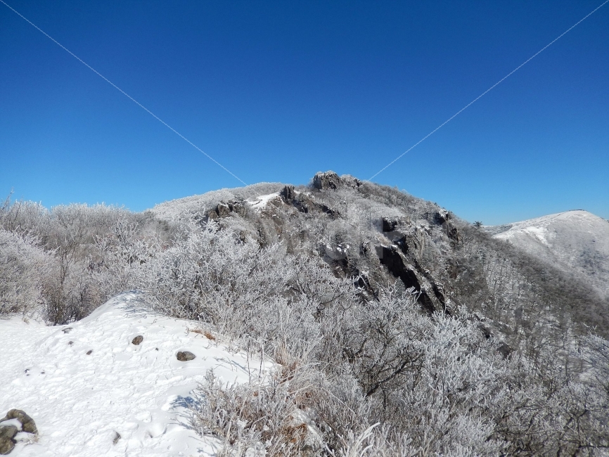 소백산,눈꽃풍경,상고대,겨울풍경,국립공원,겨울동화,힐링,감성,아름다움,뷰티풀,설국,눈풍경,파란하늘,100대명산,겨울명산,설경,서리꽃,영동,snow,landscape,눈,화이트,자연,신비로운,경이로운,천상,비경,치유,산,명산,겨울,계절,winter,season,자연,풍경,nature,landscape,한국자연풍경,한국자연경관,korea nature landscape,slope,경사,outdoors,옥외,mountain,mountain range,산맥