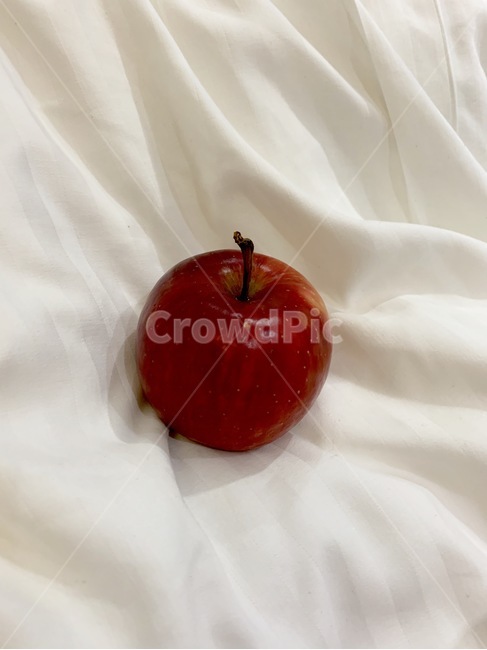 사과,apple,plant,식물,red,음식,식재료,요리,food,cook,meal,dishes,food reserves,과일,열매,fruit