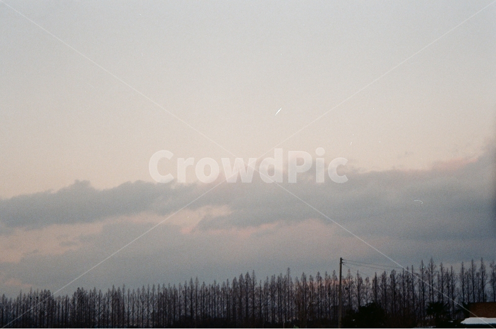 필름,필름사진,필름감성,film,동네,풍경,하늘,노을,구름,sunset,자연,풍경,nature,landscape,weather,날씨,outdoors,옥외