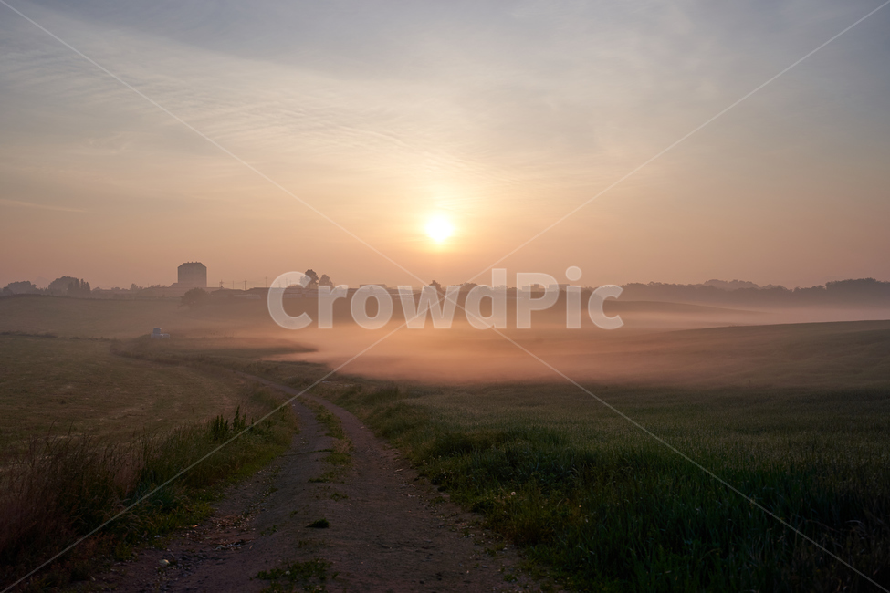 안성팜랜드,일출,물안개,안개,아침,목장,자연,풍경,nature,landscape,outdoors,옥외