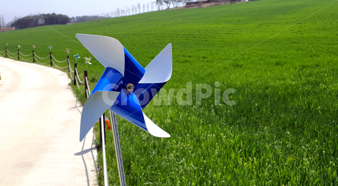팔랑개비,바람개비,청보리,청보리밭,들판,초원,바람,windmill,grassland,green,풍차