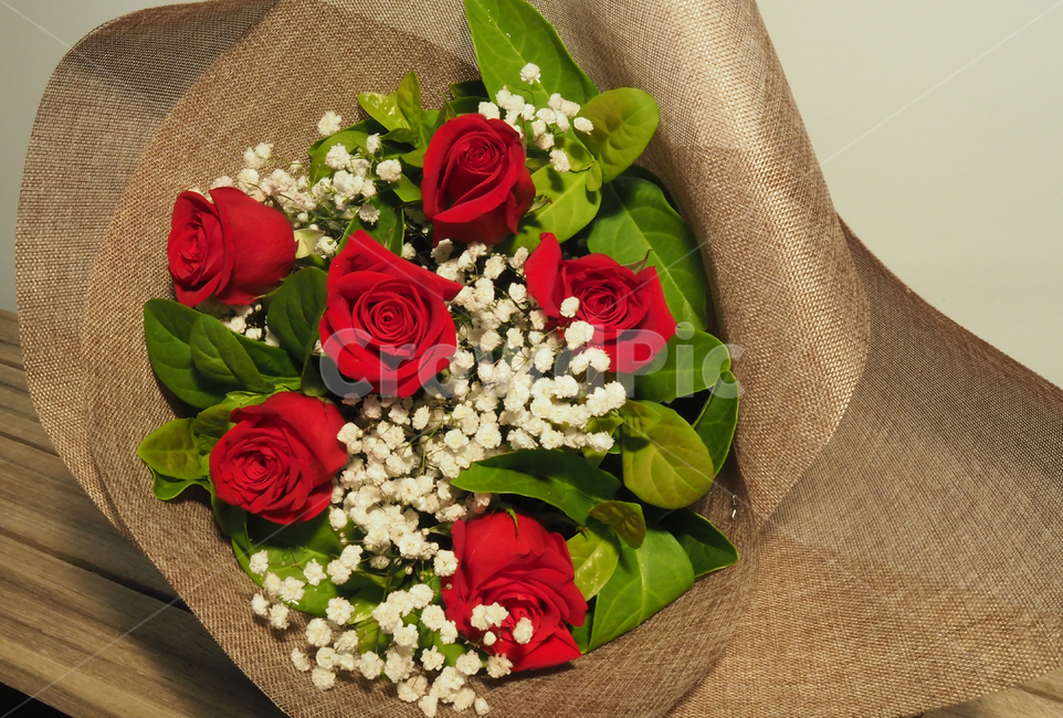 꽃,포장,사랑,러브,선물,발렌타인,꽃,flower,기념일,축하,anniversary,congratulation,celebrate,celebration