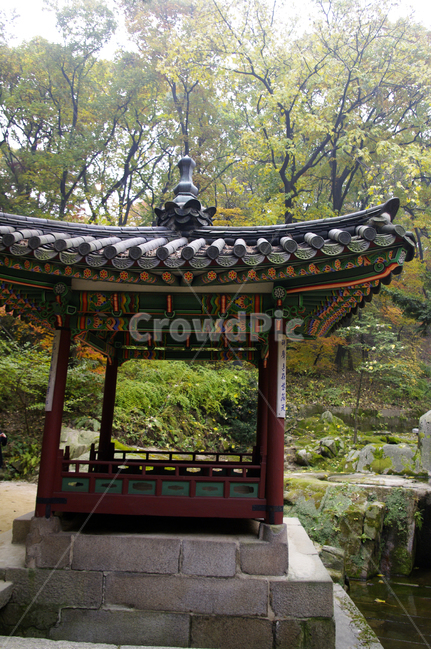 옥류천,소요암,소요정,창덕궁후원,고궁,건축,전통건축,traditional,전통,나무,식물,plant,한국전통,한국문화,korean traditional,korean culture,건축물,건물외관,exterior,building,structure,architecture,construction