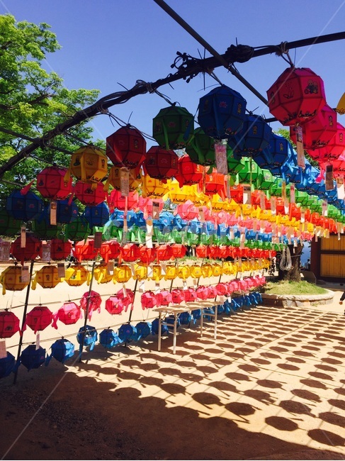 낙산사,연등,부처남오신날,절,알록달록