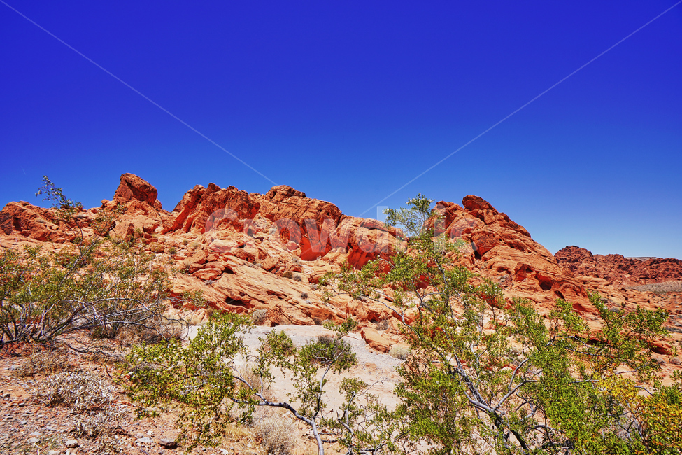 불의계곡,valleyoffire,건조한,dry,풍경,파란하늘,red,sandstone,자연,풍경,nature,landscape,해외,외국,세계,foreign,oversea,world,세계자연풍경,해외자연풍경,외국자연풍경,world nature landscape,outdoors,옥외,mountain,산