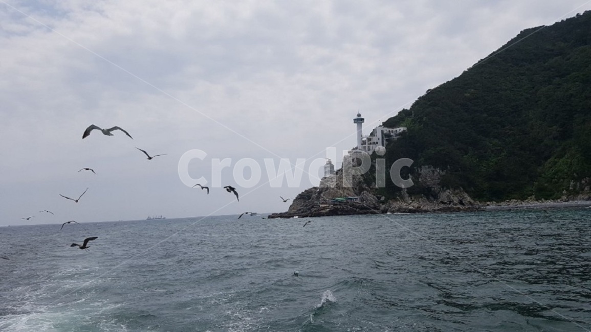 갈매기,등대,바다,풍경,구름