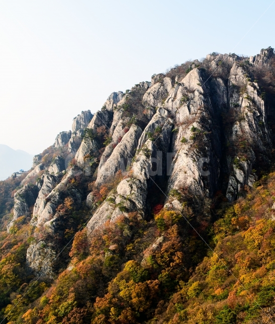 풍경,가을,바위,대둔산,landscape,가을,계절,fall,autumn,season,자연,풍경,nature,landscape,한국자연풍경,한국자연경관,korea nature landscape,outdoors,옥외,cliff,낭떠러지