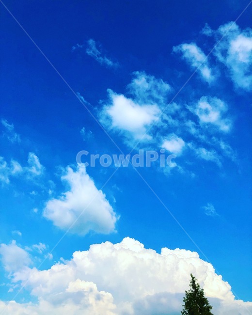outdoors,옥외,nature,자연,azuresky,푸른하늘,sky,하늘,나무