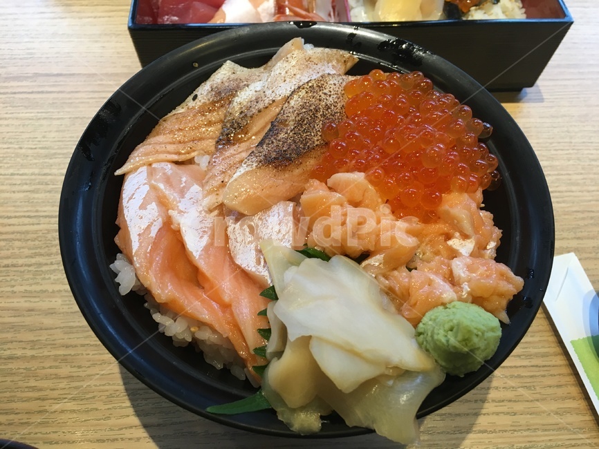 연어,생연어,구운연어,케비어,연어알,밥,덧밥,와사비,간장,성게알,생강,절임,식품,식사,맛집,food,meal,음식,식재료,요리,food,cook,meal,dishes,food reserves,일식,일본음식,일본요리,Japanese food,Japanese dishes,Japanese meal,Japanese cook