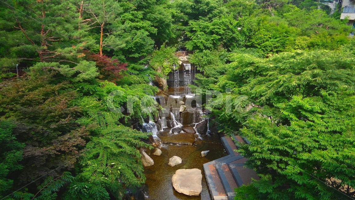 숲,나무,자연,산,풍경,감성,물,폭포,forest,tree,nature,mountain,emotion,water,waterfall,초록,green,자연,풍경,nature,landscape,outdoors,옥외