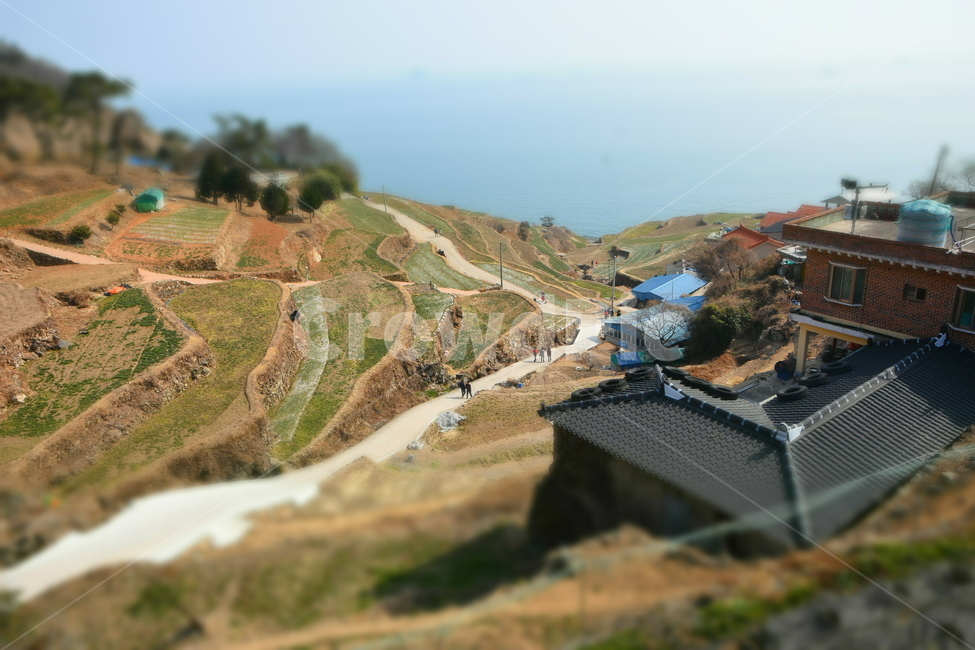 아기자기,미니어처,다랭이,다랭이마을,대한민국,자연,풍경,nature,landscape,한국자연풍경,한국자연경관,korea nature landscape,시골,마을,country,rural,town,scenery,outdoors,옥외,경치