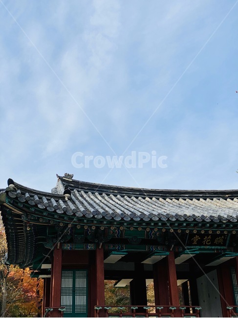 구름,하늘,궁궐,창덕궁,창덕궁후원,한국전통,한국문화,korean traditional,korean culture,건축물,건물외관,exterior,building,structure,architecture,construction