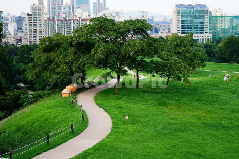 자연,길,공원,풍경,그린,녹색,grass,plant,옥외,outdoors,park,잔디,식물,도시,풍경,city,landscape,한국도시풍경,한국도시경관,korea cityscape,lawn