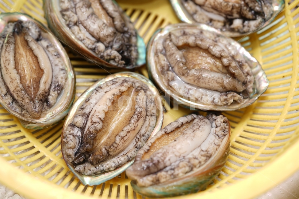 전복,해산물,먹거리,안주,술안주,생물,먹방,해물,씨푸드,바다,음식,seafood,푸드,안주거리,회,전복회,안주꺼리,소주안주,음식,식재료,요리,food,cook,meal,dishes,food reserves,수산물,해산물,fishery products,seafood