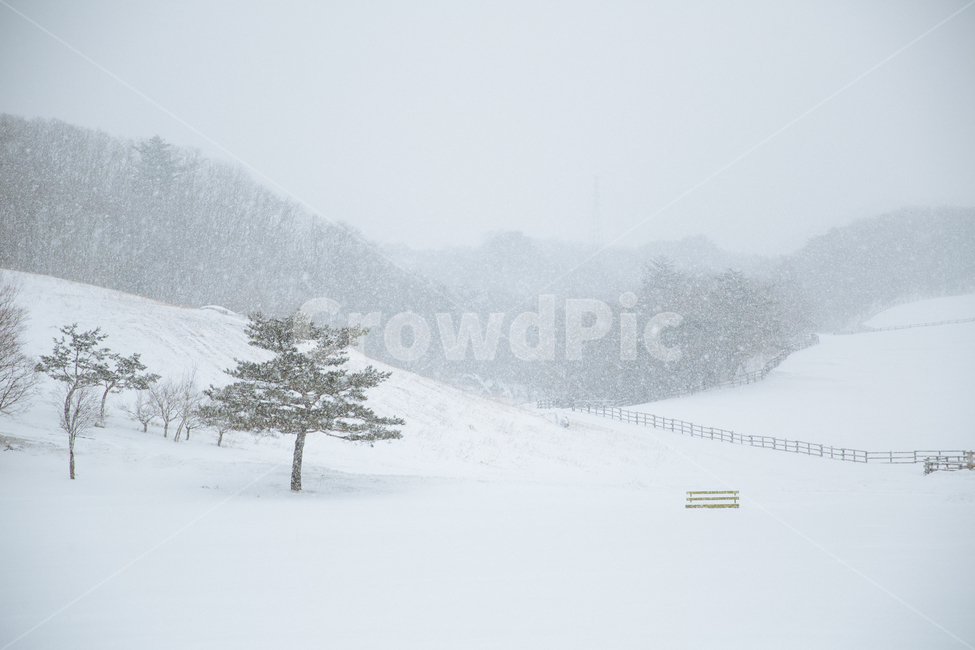 겨울,눈,풍경,감성,스냅,겨울,계절,winter,season,자연,풍경,nature,landscape,outdoors,옥외,snow,storm,폭풍,blizzard,눈보라