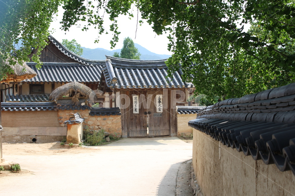 안동하회마을,한국,전통,기와집,풍경,길,옥외,outdoors,집,architecture