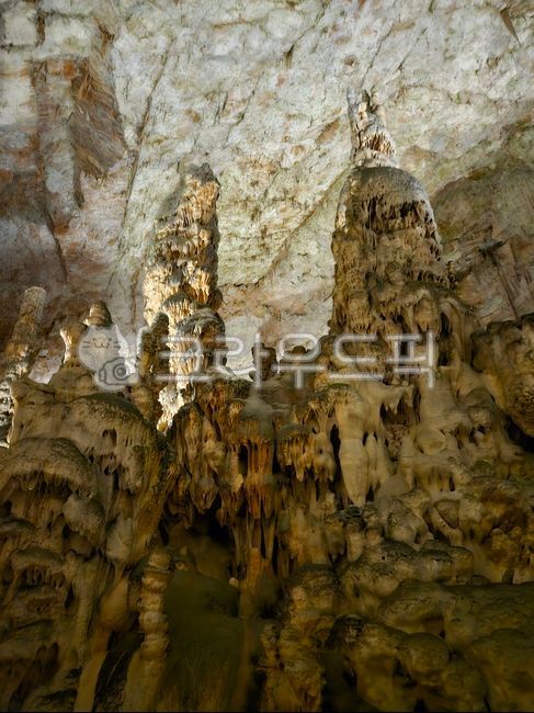 cave,Postojna Cave,nature,lime,karst terrain,Postojna,Slovenian,karst,balkan,llama,balkan peninsula,limestone cave,postoija,Yama Cave,europe