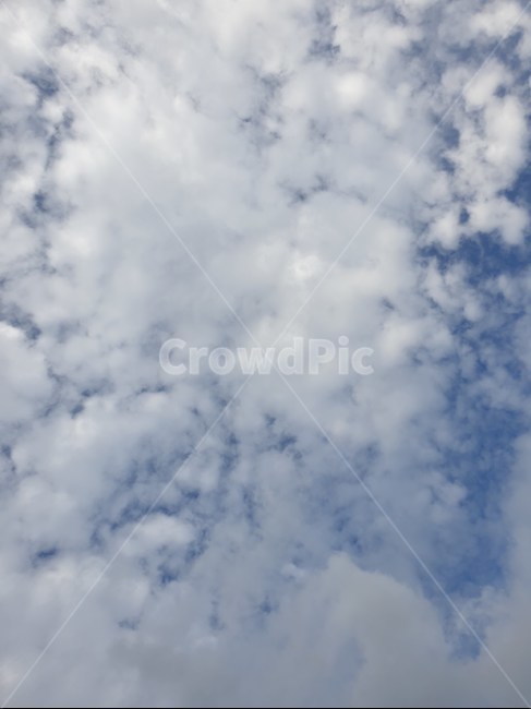 파란,하늘,하얀,구름,하얀구름