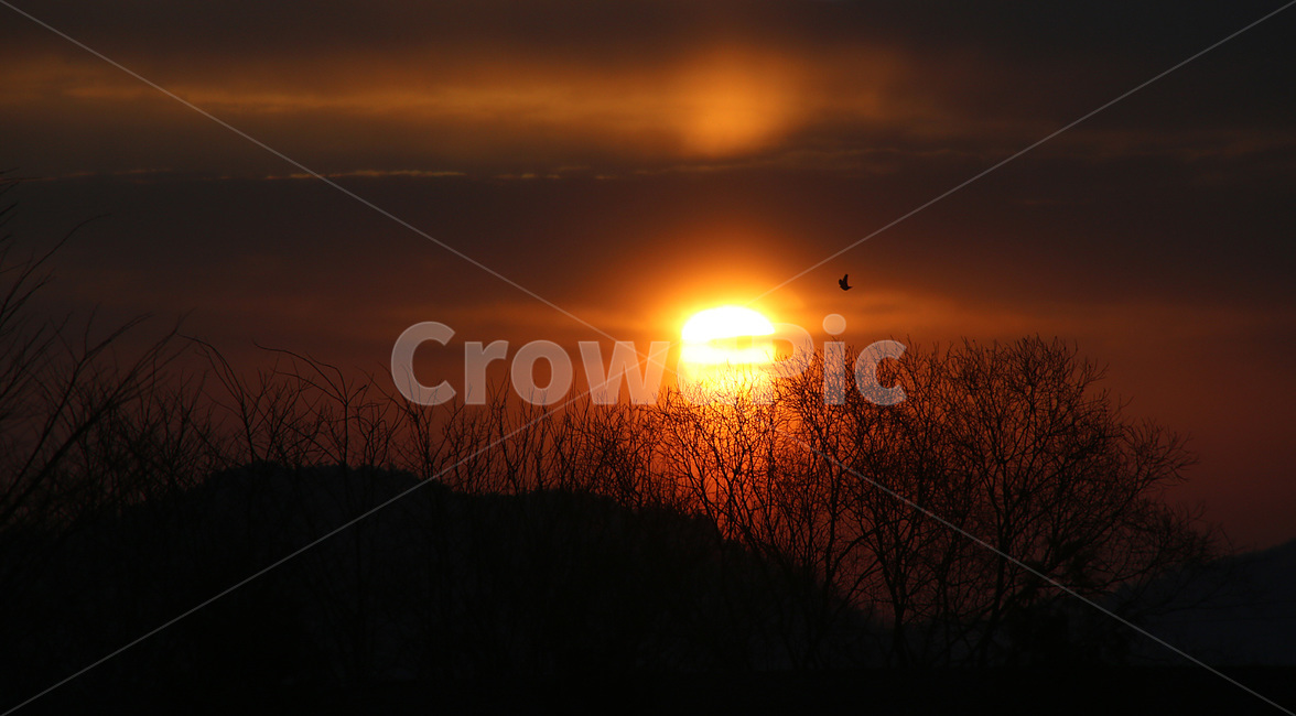일출,아침,하늘,자연,풍경,sun,자연,풍경,nature,landscape,outdoors,옥외,sky,sunset,일몰,red sky,붉은 하늘,dusk,황혼,dawn,새벽,sunlight,햇빛